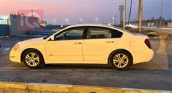 رينو سافران